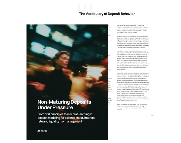 Non-Maturing Deposits Under Pressure whitepaper mockup